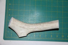 Large Upper Elk Antler Dog Chew 54 / bone chews moose treats deer 305