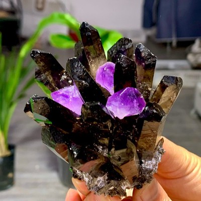 303GNew Find black Phantom Quartz with amethyst Crystal Cluster Mineral