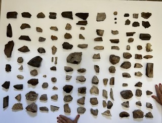 Dinosaur Bone Miscellaneous Box dinosaur fossil