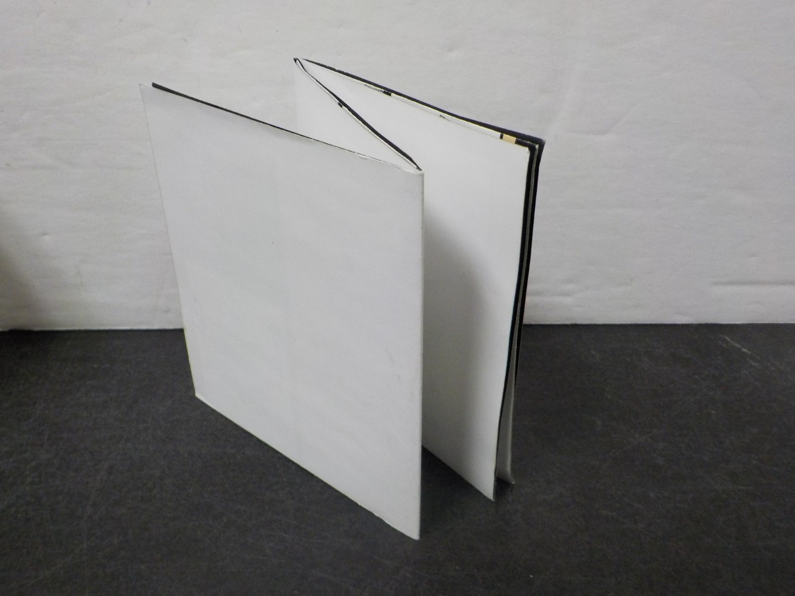 G125 NewAge Toys Transformation toy Legendary Heroes NA H09BEX Walther Shadow