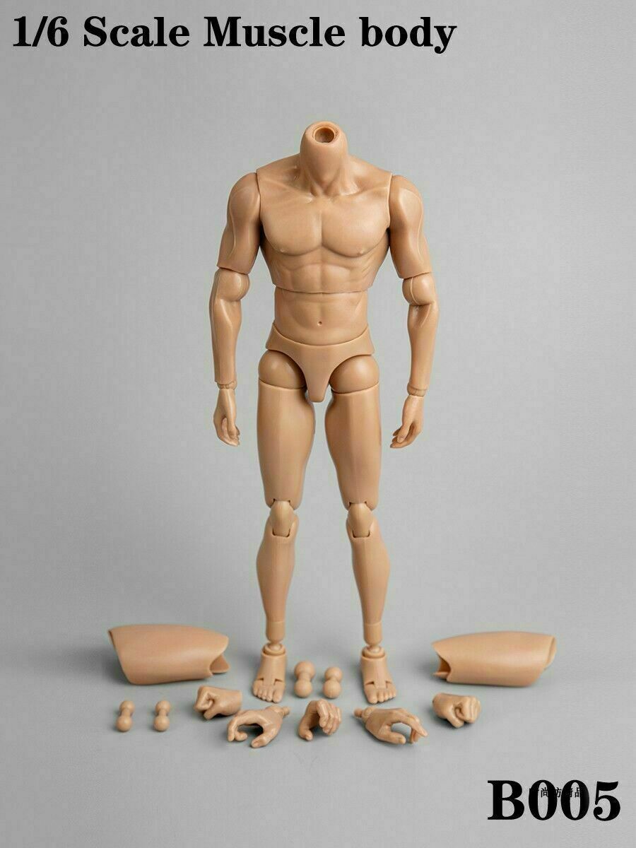 ZYTOYS 1/6 Scale B005 Male Narrow Shoulder Nude Muscle Body F12