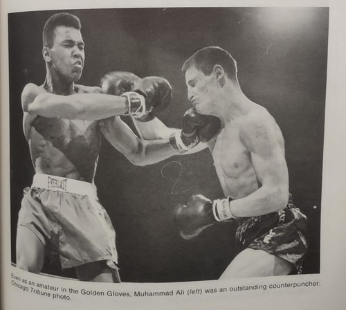 Boxing Basics Chuck Bodak Muhammed Ali Neil Milbert First Edition Printing 1979 - Picture 8 of 12
