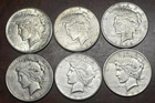 Lot of #6 San Francisco Mint Silver Peace Dollars. Winner gets all six.