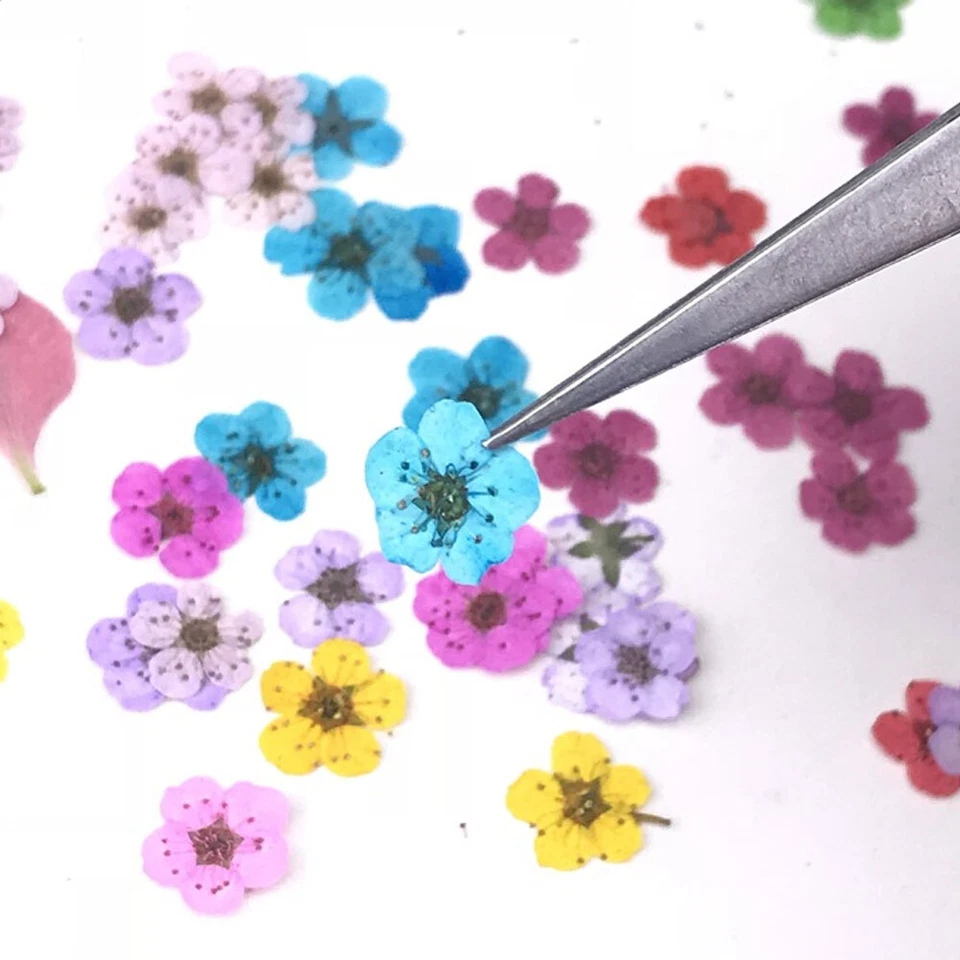 20x Natural Dried Flower DIY Manicure Drip Glue Pressed Nail Art Tips Decoration - Image 2 of 4