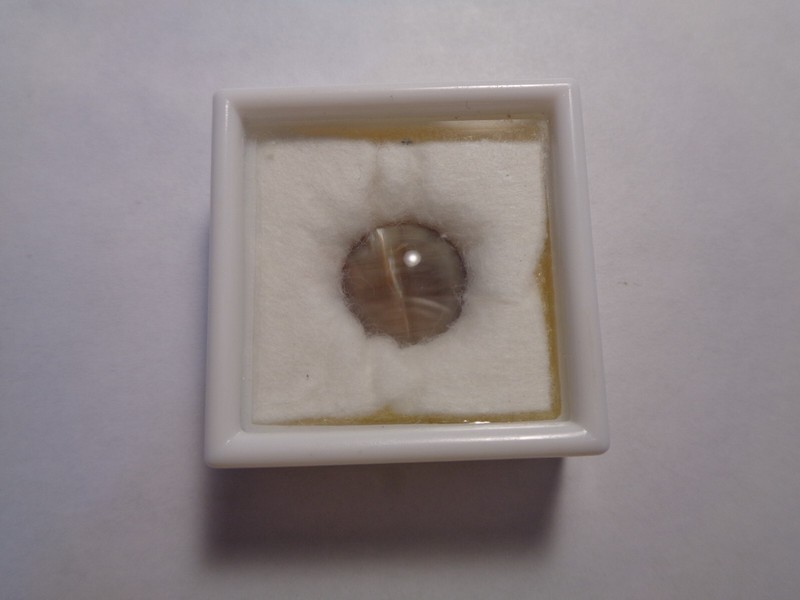 Chrysoberyl Cats Eye (LARGE 7.28ct stone)