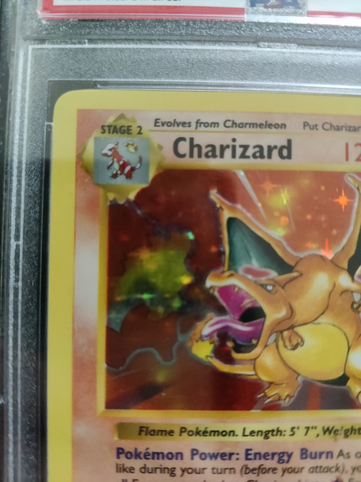 Pokemon Charizard 4/102 Shadowless PSA 7 Holo Regrade Base Set PSA 8 No gx vmax - Picture 4 of 12
