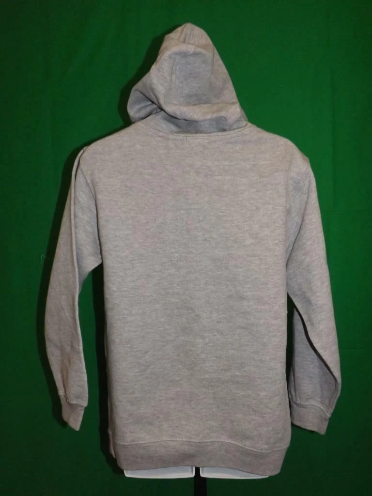 VETEMENTS New Idaho Vandals Youth Sizes S M L XL Gray Hoodie