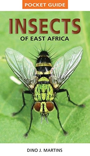 Pocket Guide Insects of East Africa (Pocket Guides) - Image 3