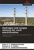 Dolly A. S. Andriatoavina (U. A.) | Hydrogen And Syngas Mixture For Rural...