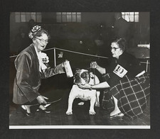 1950s Buckeye Bulldogs Club Show Winner Dog Owner Columbus Ohio Vintage Photo