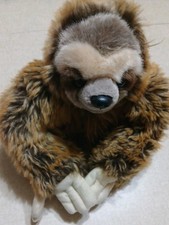 Aurora Plush 10" Sloth Brown Realistic Jungle Stuffed Animal