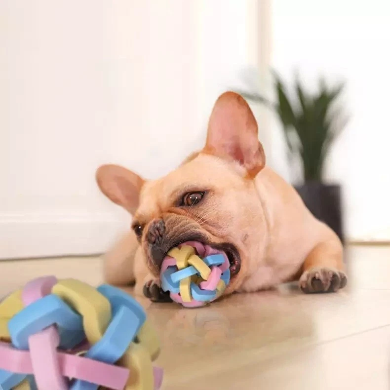 Spielball mit Glocke Naturgummi Hundespielzeug Ball Kaltze Hund Kauspielzeug L - Bild 3 von 4