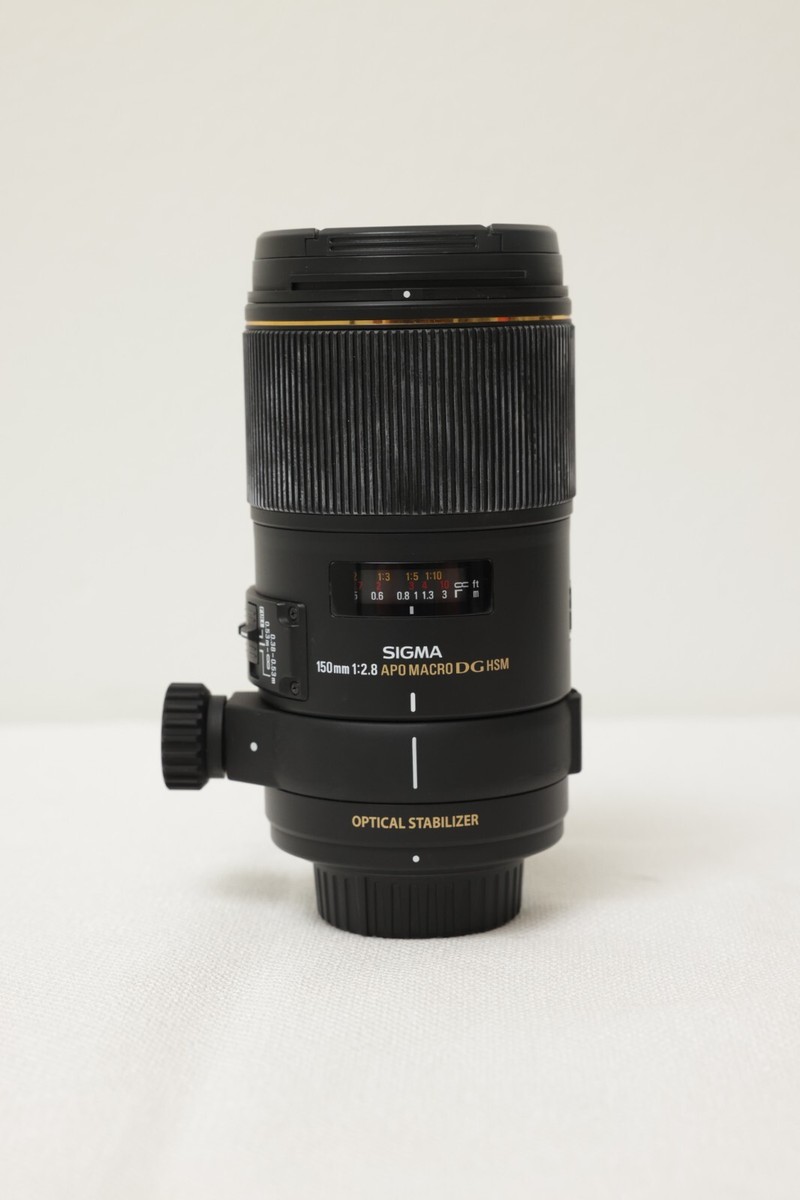 Sigma 150mm F/2.8 APO macro DG HSM (Nikon) | eBay Sigma 150mm F/2.8 APO macro DG HSM (Nikon) | eBay