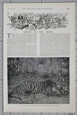 1900 Print Sport In The Army Tigers Artikel British Empire