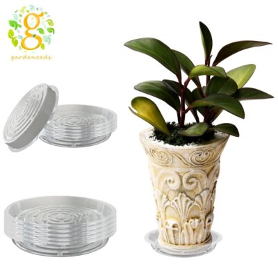 ivy house plant Ivy Green Asst Hedera Helix Plant The Common English – NNplant main image 1