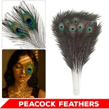 Natural Real Peacock Feather 20cm-80cm Decoration, Crafts, Wedding, Jewllery Hat