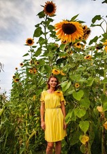 10 Early MAMMOTH RUSSIAN SUNFLOWER Helianthus Annuus Flower Seeds