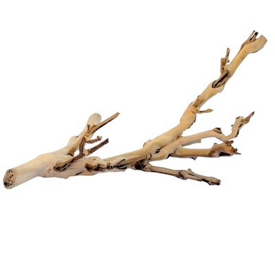 Exo Terra Forest Branch Wood Terrarium Decoration For Reptiles Pets Pt3075A1