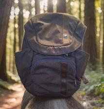 Pacsafe Roamsafe 100 Purple Anti Theft Backpack Nylon Multi Pocket