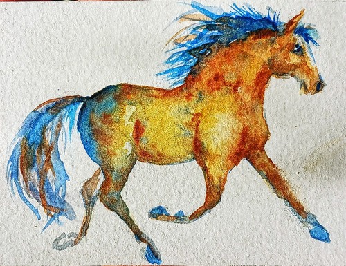 Aceo Appaloosa Horse Running art,original Watercolor painting Horse Lover gift