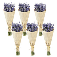 Dried Lavender 6 Bunches Fresh Natural Purple Flowers for Bathroom Photo Props