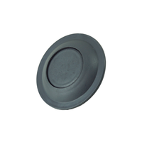 1 X Druckknopf HecktüR Entriegelung FüR Fiat Ducato Bus 250 - 735426396 You.S