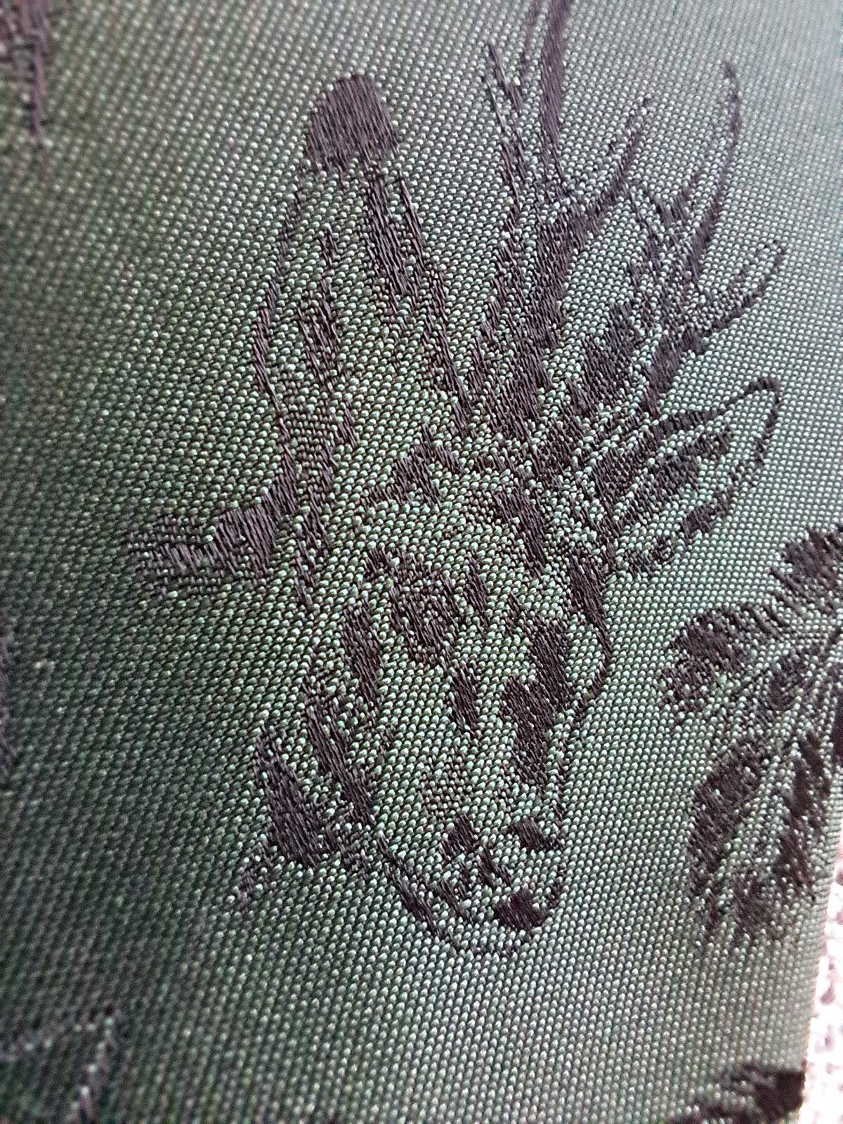 Picture 6 of 19