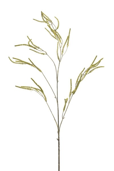 artplants KüNstlicher Zweig Amaranth Cerro, Mit BlüTen, GrüN, 100Cm-image