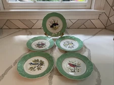 Vintage Mottahedeh Vista Allegre Celadon Green Plates From Songbirds Series (5)