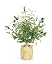 Fake Olive Tree 19 Inches with Woven Basket Realistic Artificial Small