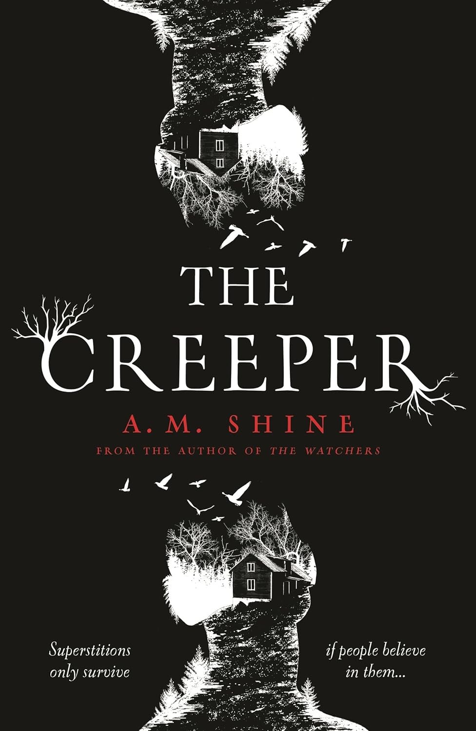 The Creeper AM Shine Paperback Horror Suspense Thriller Gothic Fiction - Image 8