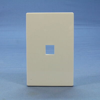 Cooper Aspire White Satin (Pale Gray) 1G Screwless 1-Port Wallplate Cover 9550WS