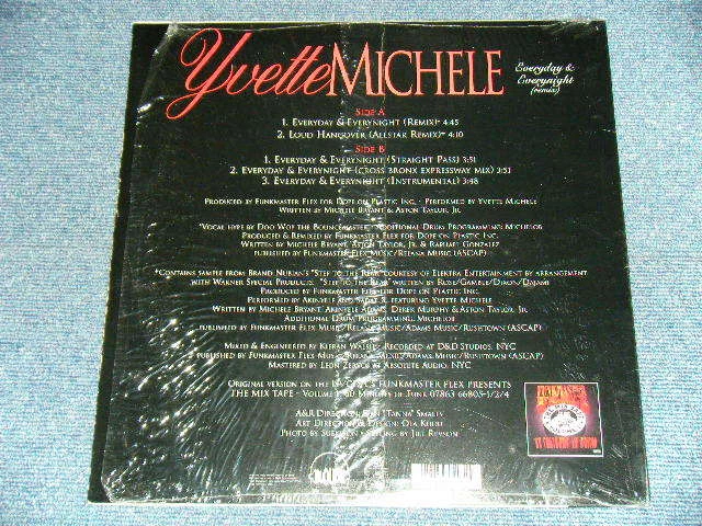 YVETTE MICHELE US AMERICA 1996 12" EVERYDAY & EVERYNIGHT ship from Japan Foto 2 de 4