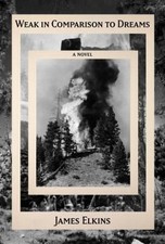 Weak in Comparison to Dreams Hardcover James Elkins