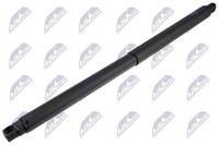 NTY Gasfeder, Koffer-/Laderaum AE-SK-050 FüR Skoda