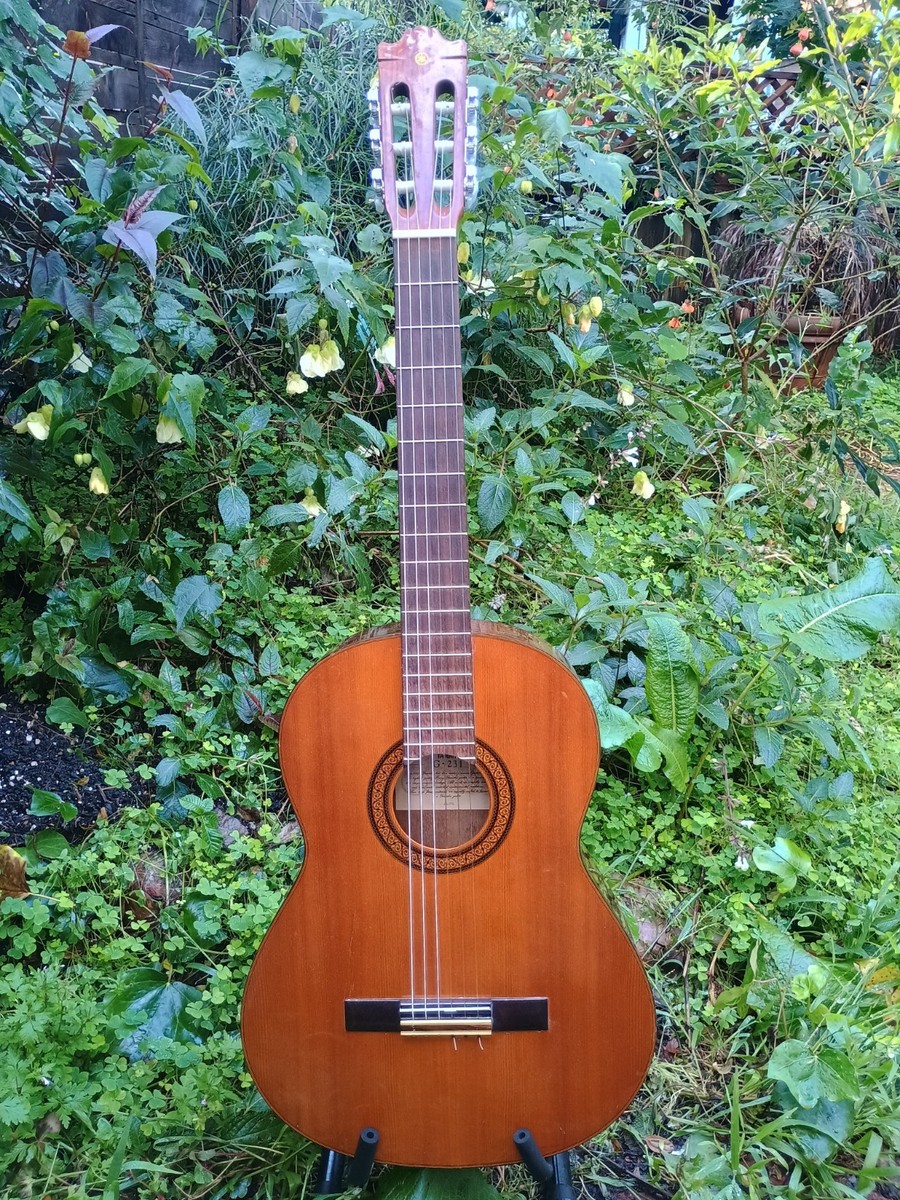 Yamaha G-231 Classical Guitar, 1978-80, very good used condition