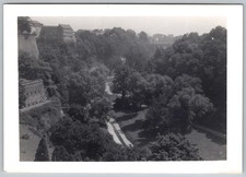 Vtg B&W Snapshot Scenic Valley Park Luxembourg Europe Trees Buildings 1957