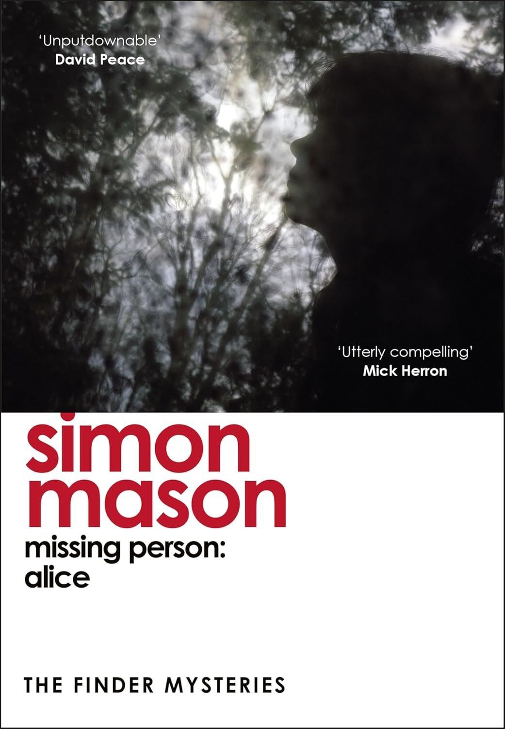 Missing Person: Alice (The Finder Mysteries) (Finder Series)