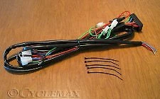 HONDA GOLDWING GL1800 Isolated Trailer Harness (52-694) Fits 2001-2010 years. - Image 2 of 2