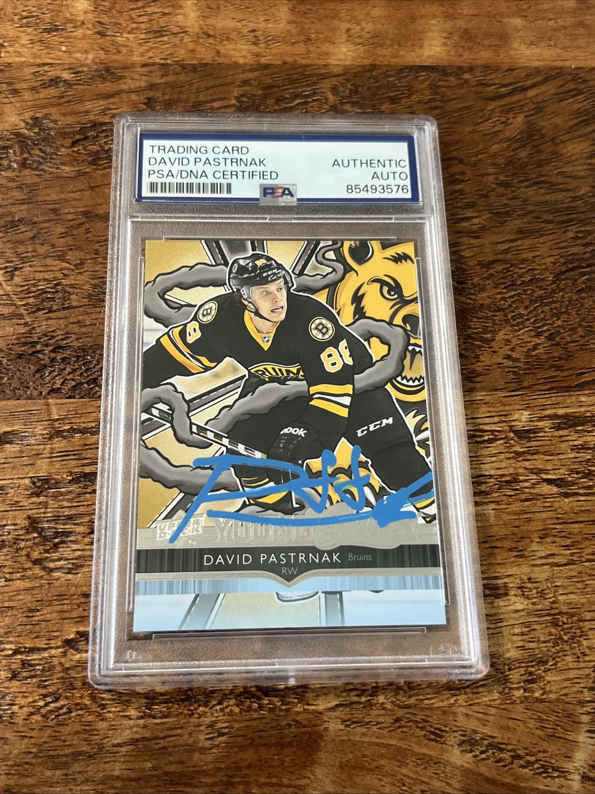 David Pastrnak Autographed Signed Boston Bruins IP Young Guns Renewed Card PSA DNA Coa Bruins 