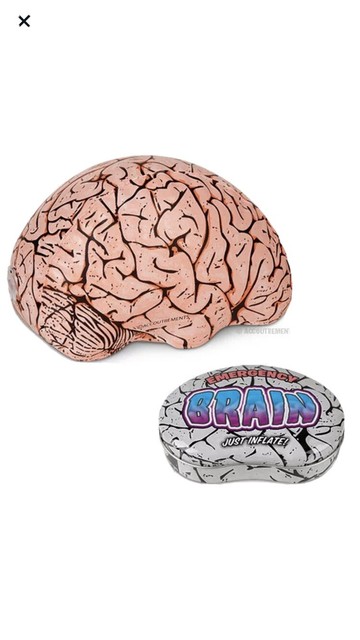 inflatable brain toy