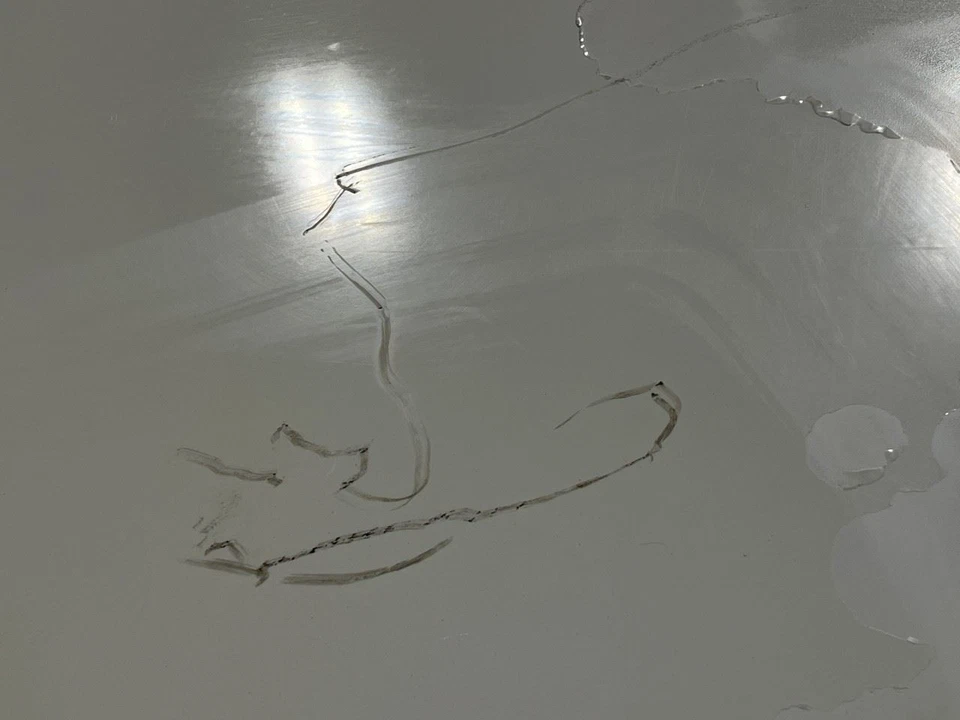 2004 2005 2006 2007 2008 CHEVROLET COLORADO CREW CAB PICKUP BED COVER TOP WHITE - Image 4 of 4