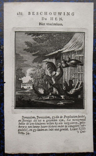GALLO + GALLINA, pollos. Grabado en cobre original de JAN LUYKEN, 1708 - Imagen 1 de 1