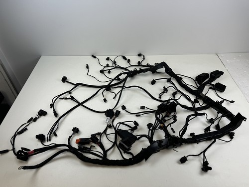 BMW S1000XR K69 2020-2024 Arnés De Cable Principal - Imagen 12 de 12