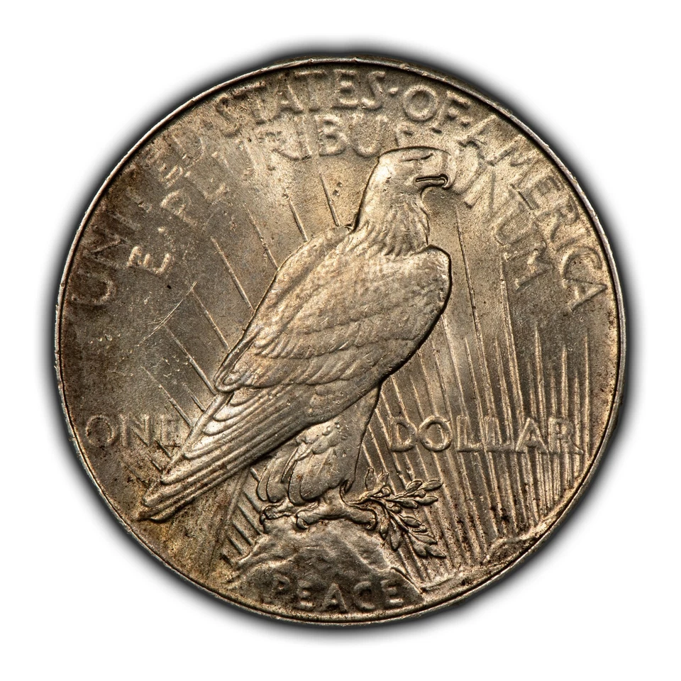 1934 $1 Silver Peace Dollar - BU Key Date - VIDEO - SKU-B4492 - Image 2 of 4