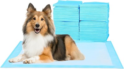 Super Absorbent Waterproof Dog and Puppy Pet Training Pad, Housebreaking Pet ...