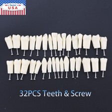Dental 32 Pcs Replacement Teeth With Screw For Kilgore NISSIN 200 Typodont Model