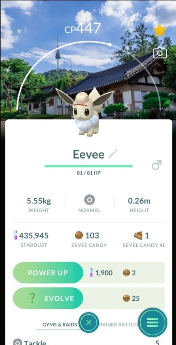 Pokémon Shiny Eevee Explorer Hat Seol Safari Zone GO