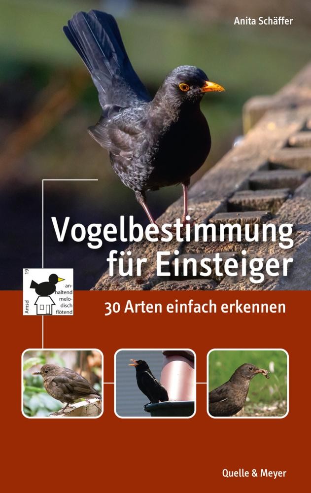 Quelle + Meyer Vogelbestimmung Für Einsteiger - Bild 2