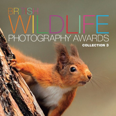 British Wildlife Photography Awards: Collection by AA Publishing